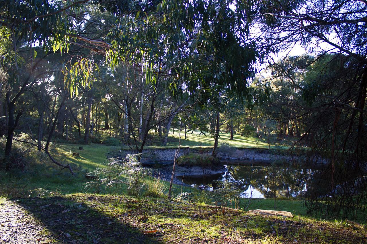 Marwood Villas Halls Gap Exteriör bild